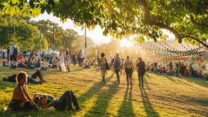 Summer Festivals Results Haute Hippies Wilderness