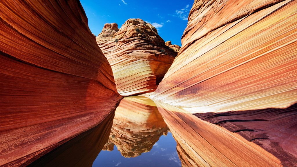 The Waves natural sandstone formation reflected in water
