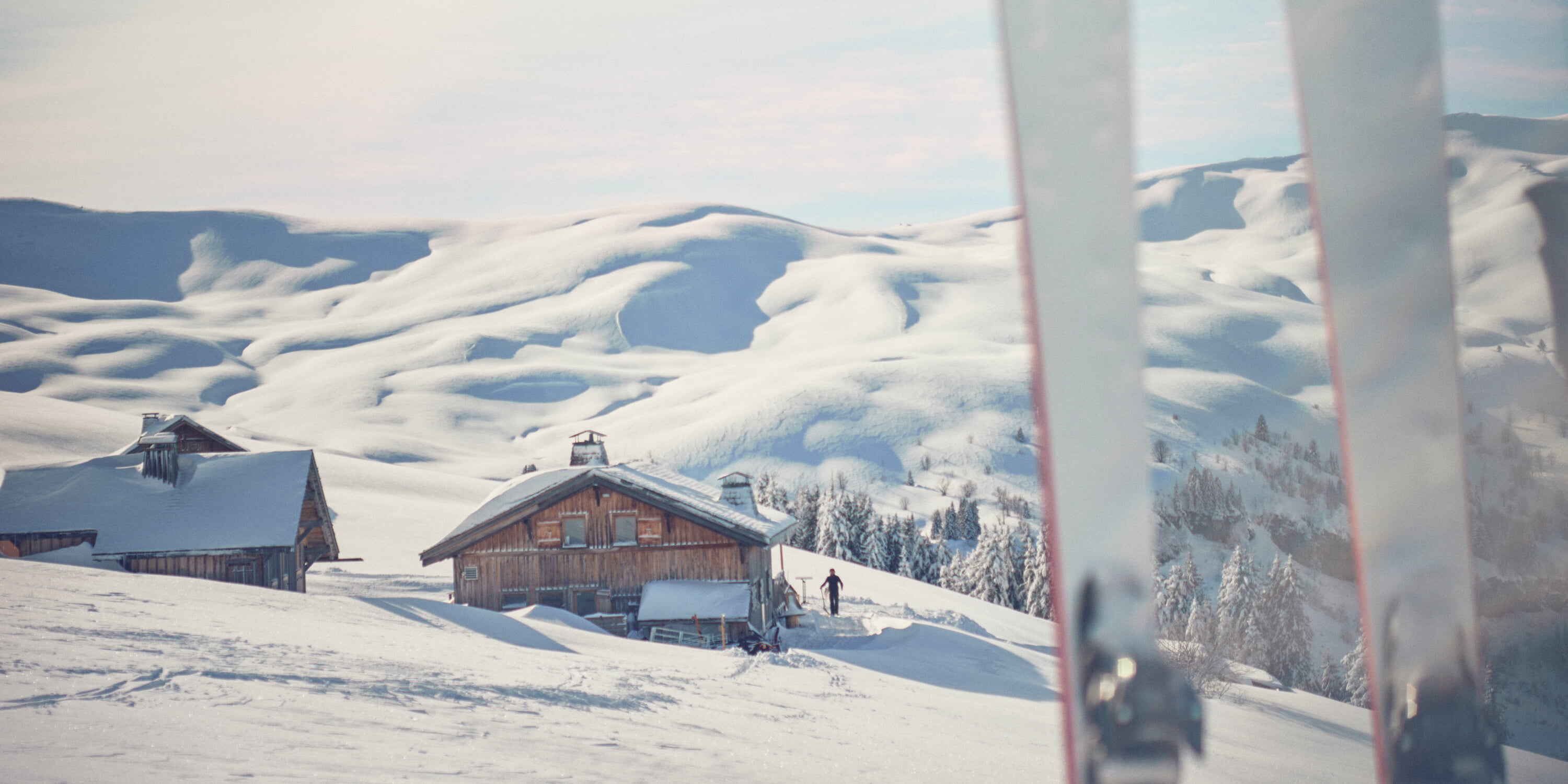 00 Hero 2 - credit Jenny Zarins